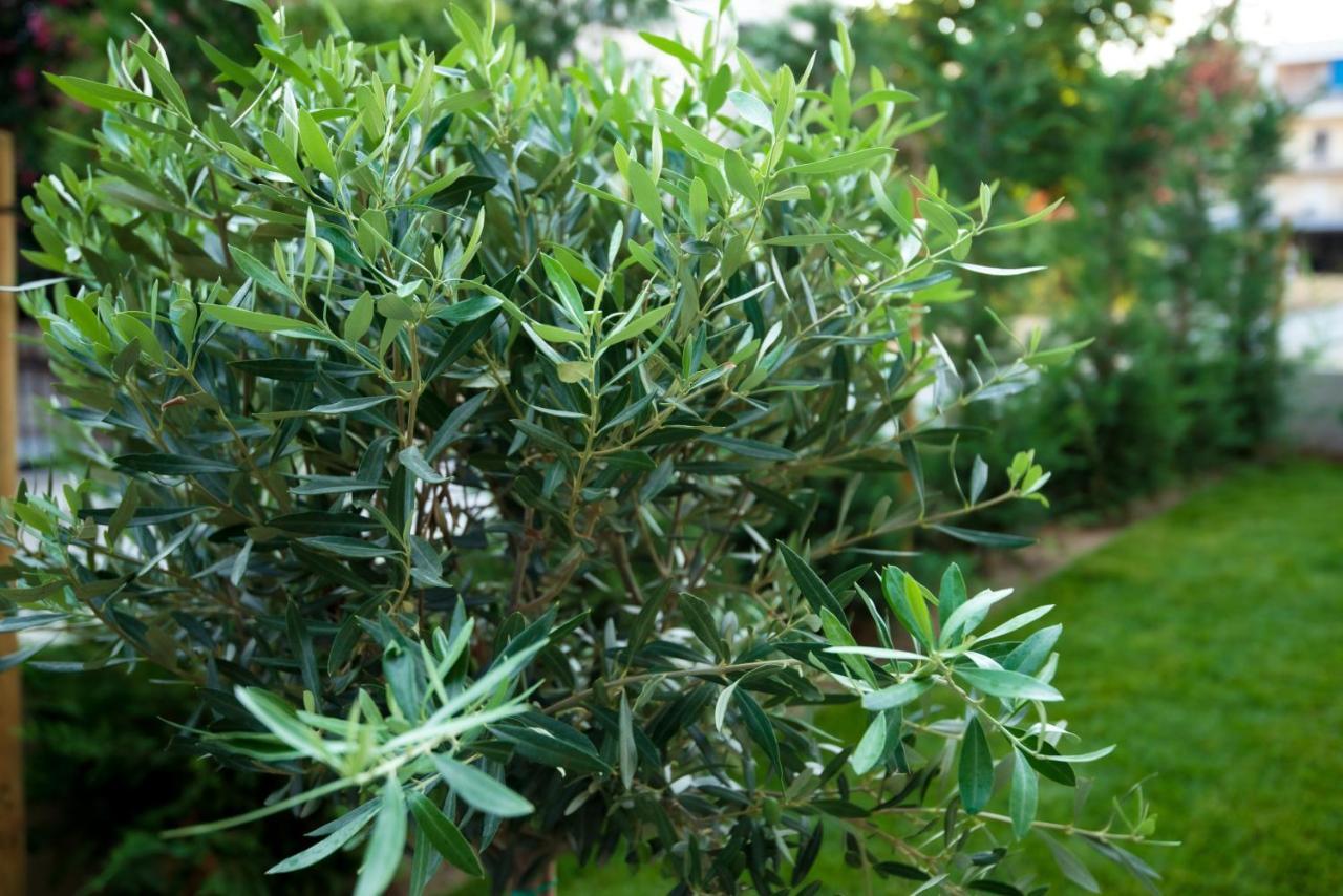 Olive 201 Lägenhet Peraía Exteriör bild