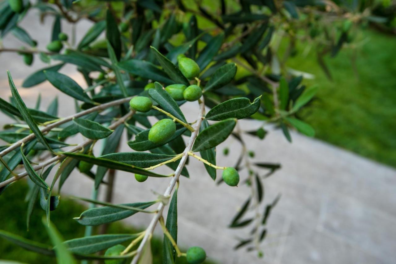 Olive 201 Lägenhet Peraía Exteriör bild